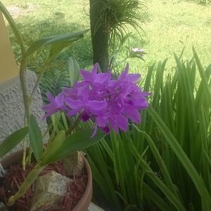 Meet your Posher, Noelia